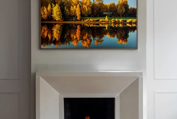 DC Rowhouse Renovation Modern Fireplace